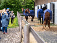 BP210325-74 - Ben Pauling Stable Visit